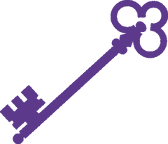 Key icon